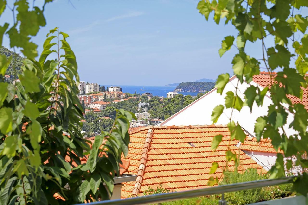 Abelia, Two Terraces, Hot Tub, Free Parking Daire Dubrovnik Dış mekan fotoğraf